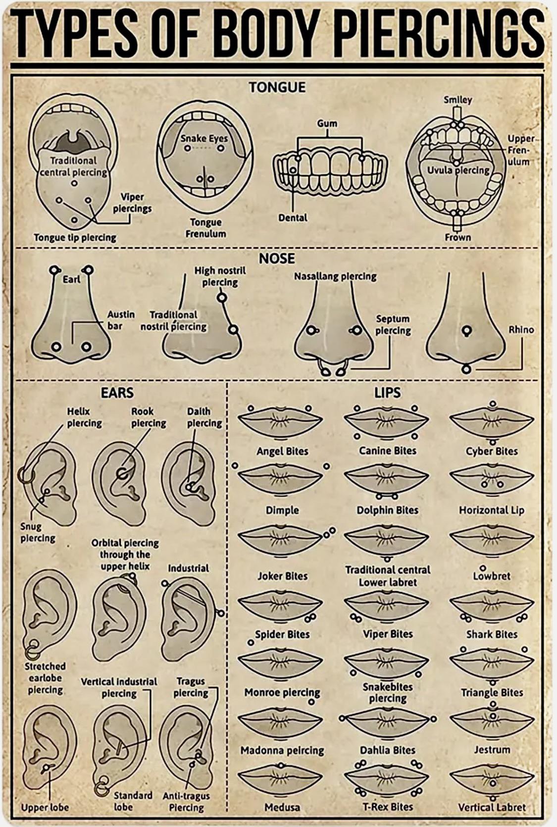 Body piercings full chart